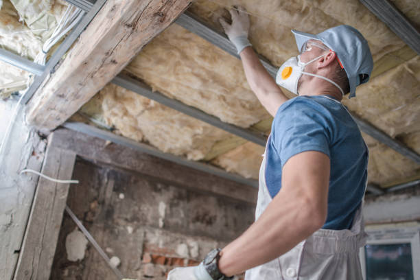 Best Attic Insulation Installation  in South Run, VA