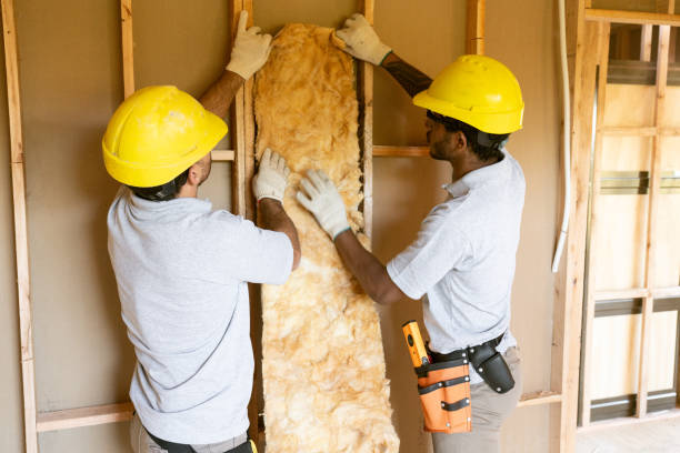 Best Fiberglass Insulation  in South Run, VA